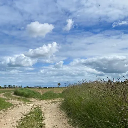 Entre Roches Et Marees