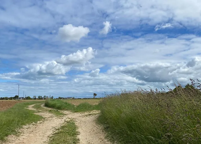 Entre Roches Et Marees